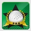 Golf Pro Achievement