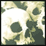 The Skulls Of The Vanquished Achievement