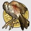 Golden Bird Award - You found all birds in the game