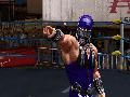 Lucha Libre AAA Heroes of the Ring screenshot